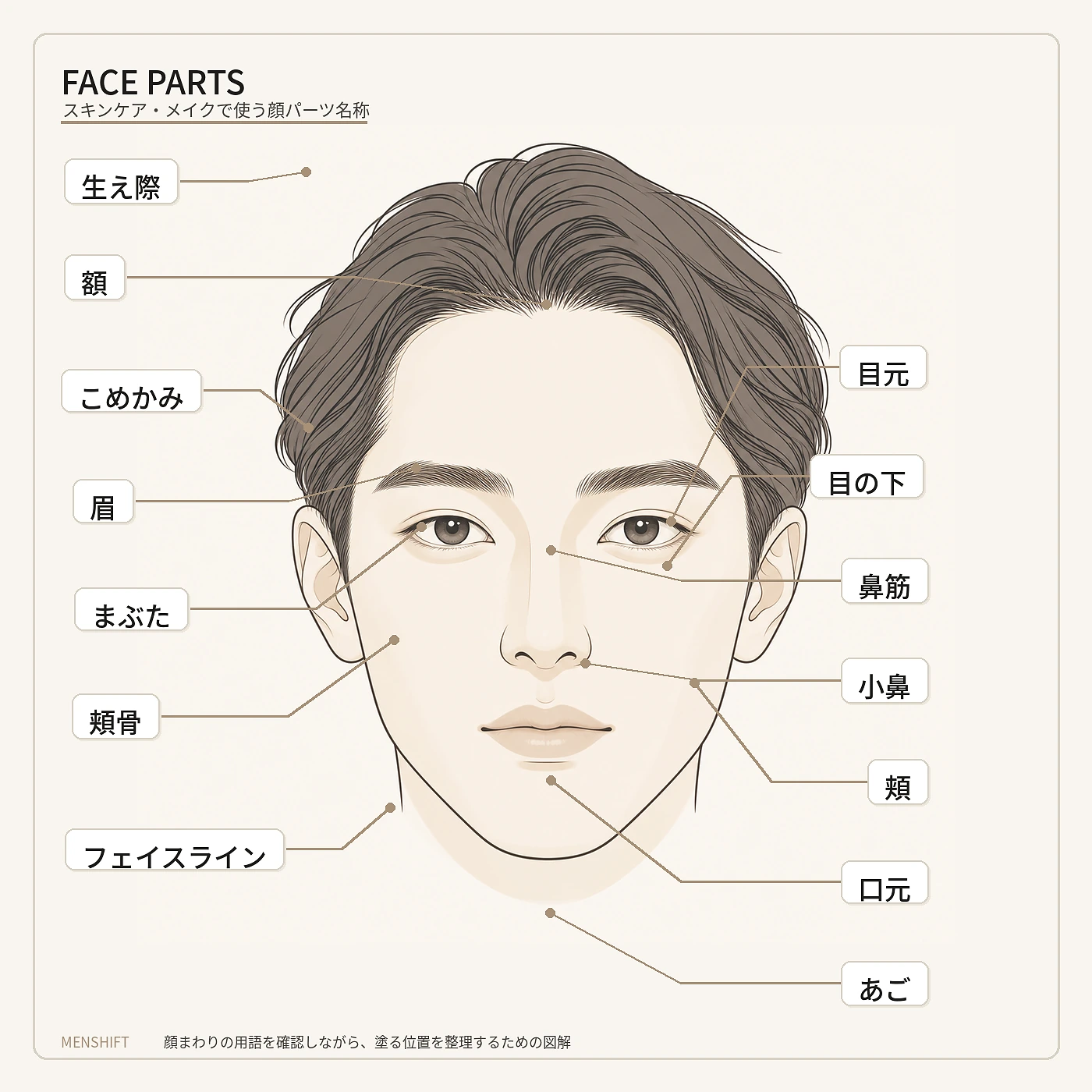 スキンケアやメイクで使う顔パーツの名称を示した男性向け顔イラスト
